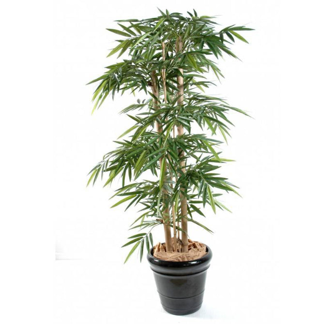 Location Bambou Artificiel 210cm