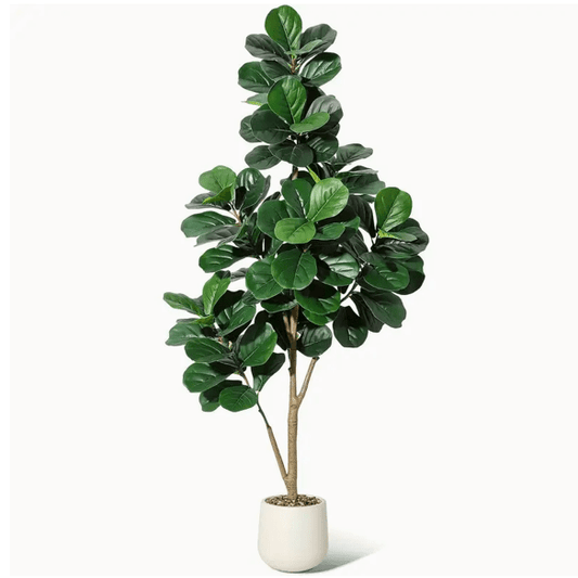 Location Faux Arbre Figuier 210cm - GP LOCO EVENEMENT